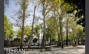 گذر پیاده راه استاد شهریار 10