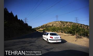 بوستان جنگلی لتمال کن 27