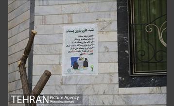 شنبه های بدون پسماند 6