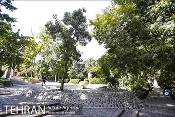بوستان قیطریه 13