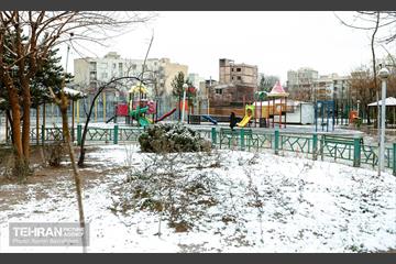 روز برفی در منطقه 8 23