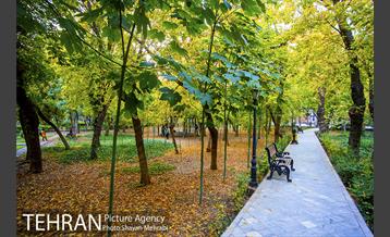 پاییز پارک شهر 33