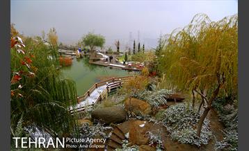 بارش پاییزی برف در ارتفاعات بوستان کوهستانی آبشار تهران‎ 29