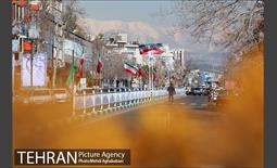 آذین بندی معابر منطقه 8 به مناسبت دهه فجر 12
