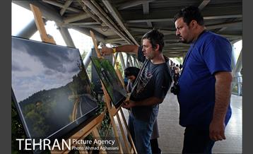نمایشگاه “طبیعت تهران” بر روی پل طبیعت 16