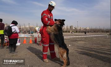 تمرین سراسری زلزله در بوستان ولایت 7