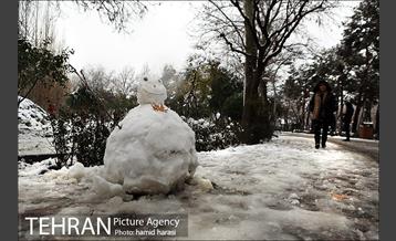 روز برفی بلوار کشاورز 3