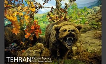 موزه حیات وحش هفت چنار 40