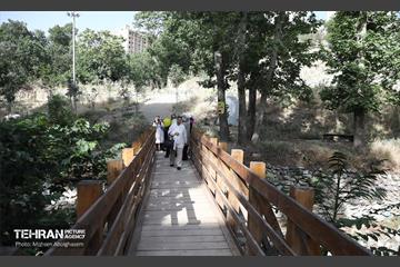 همایش پیاده روی خانوادگی در رود دره فرحزاد 67