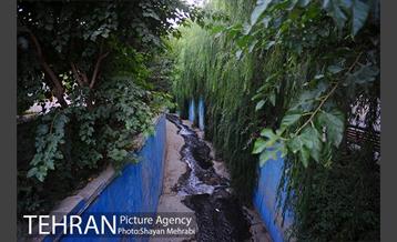 بوستان نهج البلاغه (فاز١) 14