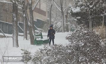 روز برفی پایتخت 2