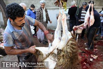 بازار فروش دام در محله طرشت به مناسبت عید قربان 21