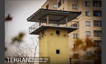 باغ موزه قصر 19