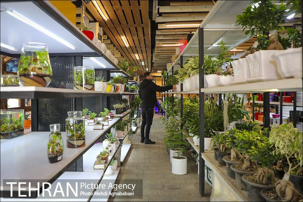 مرکز گل و گیاه ایوار 3