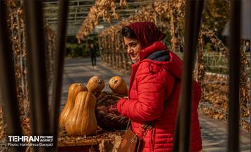 گذرگاه های پاییزی پایتخت - پارک ملت  19