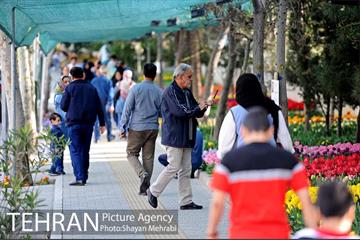 پیاده راه لاله مادران 25