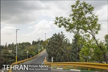 بوستان جنگلی لویزان 18