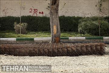 سنگ فرش شدن خیابان پامنار‎  20