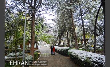 بارش برف پاییزی در بوستان طالقانی 5