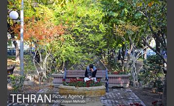 طبیعت پاییزی بلوار کشاورز 3