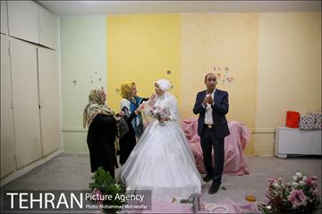 جشن ازدواج دو کارتن خواب بهبود یافته 17