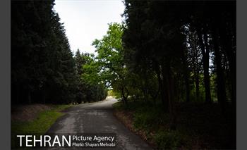 باغ گیاه‌شناسی ملی ایران 18