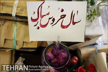 چهل و چهارمین بازارچه خیریه آسایشگاه کهریزک 21