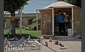 جایی برای زندگی،نه زنده ماندن 1