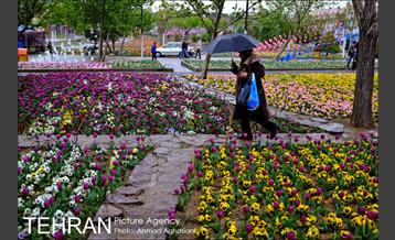 جشنواره لاله‌ها در بوستان زندگی محله هرندی 11