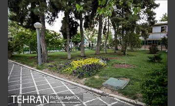 بوستان سیمرغ 12