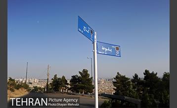 بوستان جنگلی لتمال کن 28