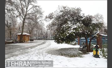 روز برفی تهران در پارک شهر 4