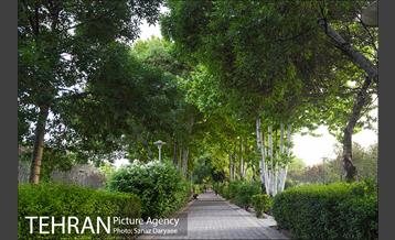 بوستان پلیس 10