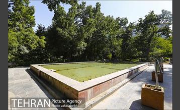 بوستان قیطریه 24