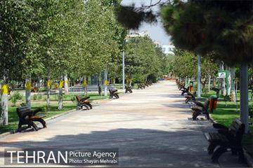 بوستان بسیج 17