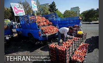 میوه فروشان خیابانی 4