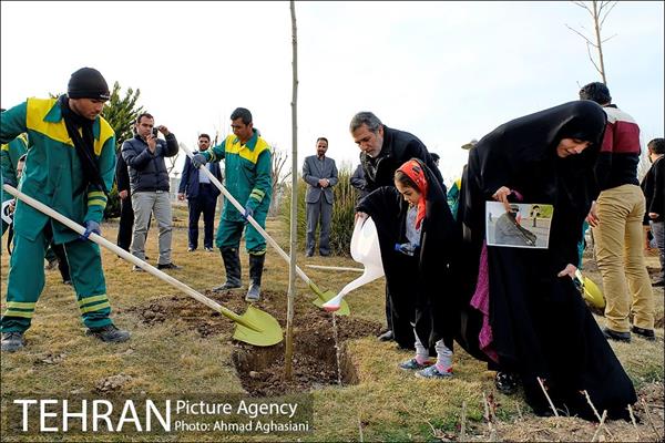 روز درختکاری در گنبد مینا 6