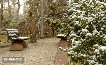 بارش برف زمستانی در منطقه 14