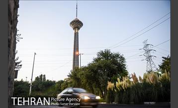 محله گیشا  31