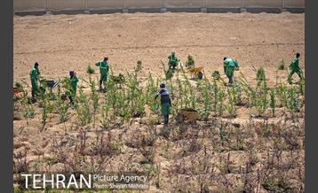 به بهانه روز جهانی کارگر 27