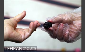 دومین جشنواره شاتوت دردهستان سولقان 7