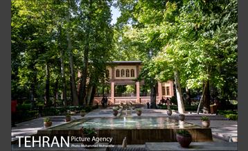 شهرنگار؛ باغ ایرانی 13