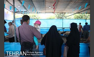 مرکز عرضه دام بهداشتی به مناسبت عید قربان در منطقه 14