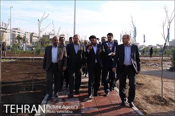 بازدید دکتر قالیباف از بوستان تبسم در منطقه 11‎ 5
