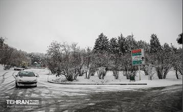 روز برفی تهران - 2 45