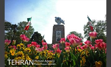 رویش گل های لاله در پارک شهر 10