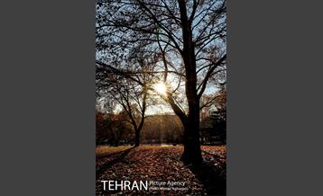 پاییز برفی پارک ملت 22