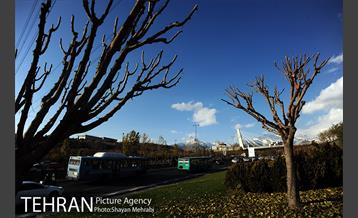 هوای پاک تهران 36