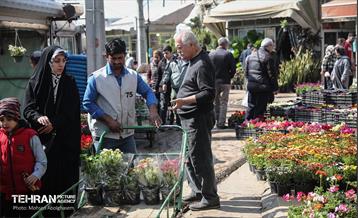 بازار گل شهید محلاتی در آخرین روزهاى سال 25