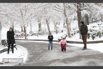 صبح برفی بوستان ملت 15